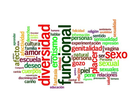 Grupo de palabra de diferentes colores donde se destaca la palabra diversidad, funcional y sexo